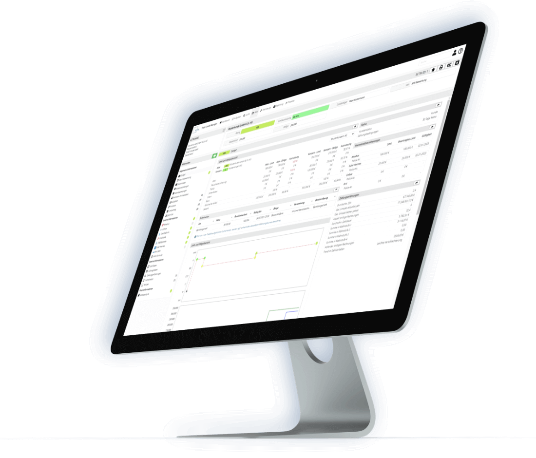 Kreditmanagement Software in der Anwendung
